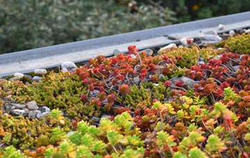 the cost of Burgh On Bain green roof installation