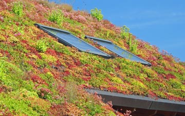 Burgh On Bain living roof systems